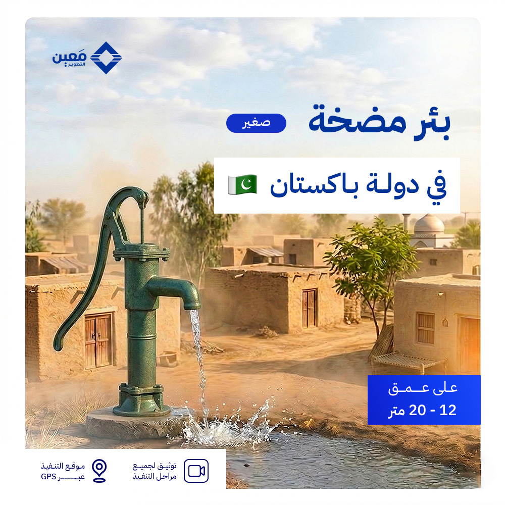 بئر المضخة اليدوية (صغير) في دولة باكستان