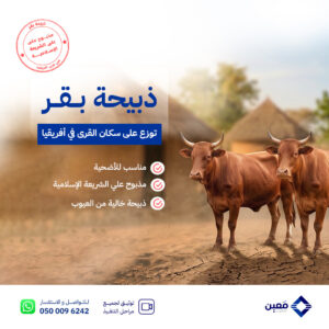 ذبيحة بقر في نيجيريا
