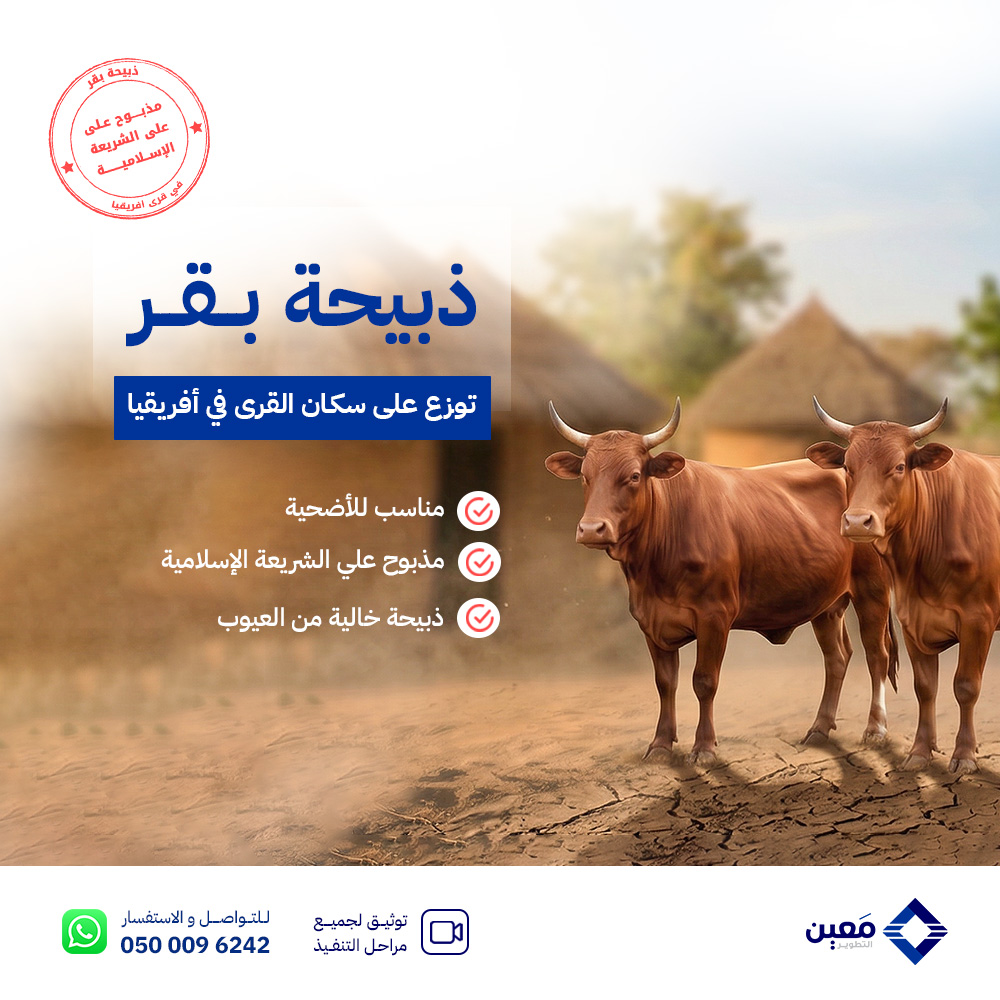 ذبيحة بقر في نيجيريا